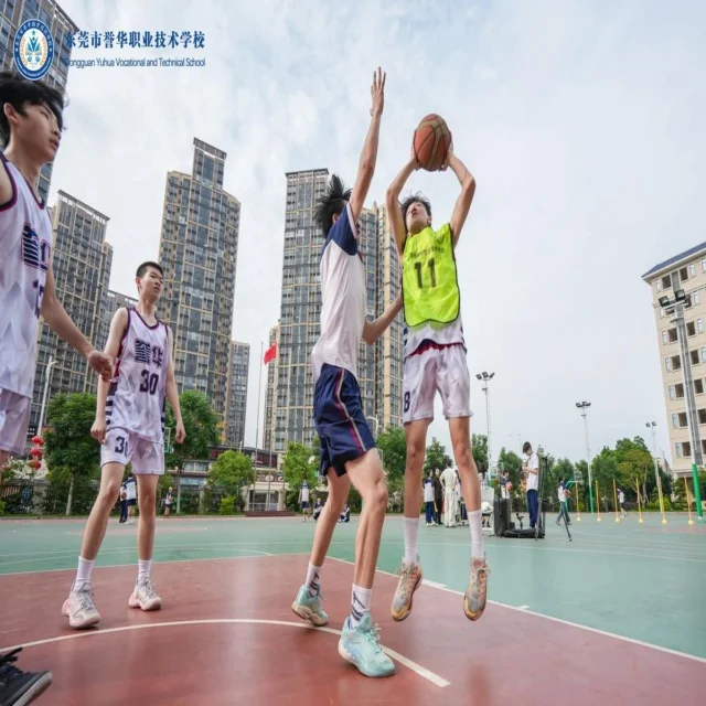 深度解析热门赛事资讯,掌握最新体育动态